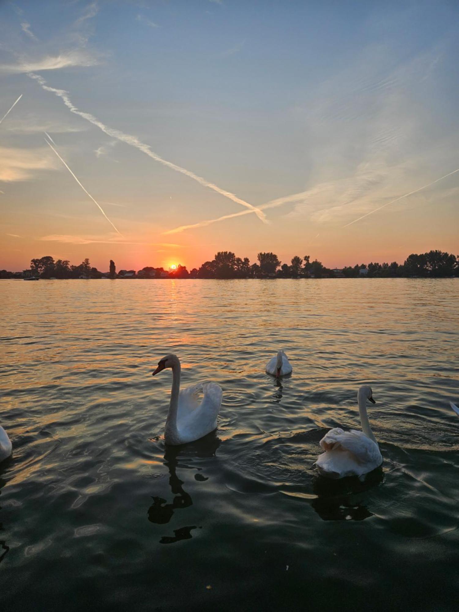 Splav House On The River * Belgrade
